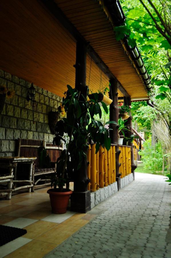 Bora Zdroj - Pokoj Czteroosobowy 1 Narewka Ngoại thất bức ảnh
