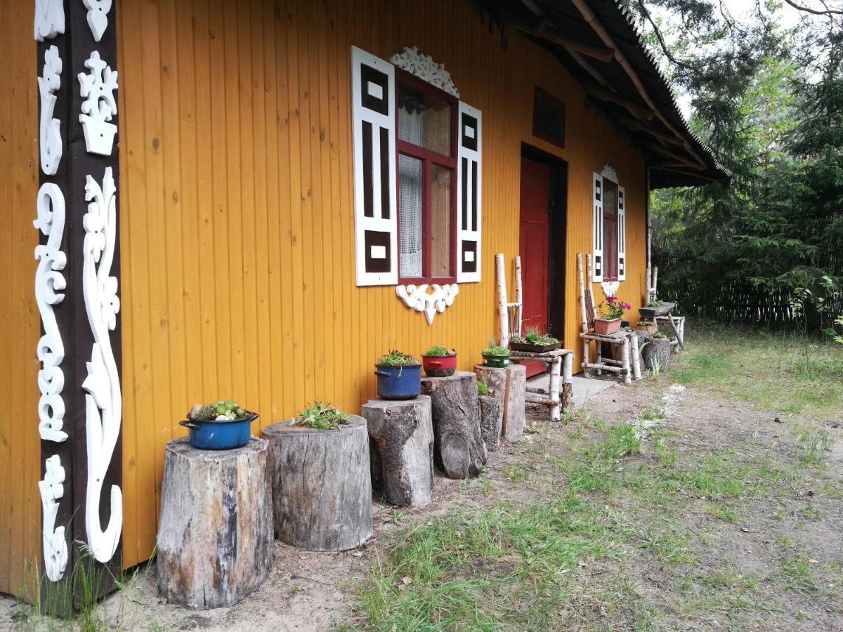Bora Zdroj - Pokoj Czteroosobowy 1 Narewka Ngoại thất bức ảnh